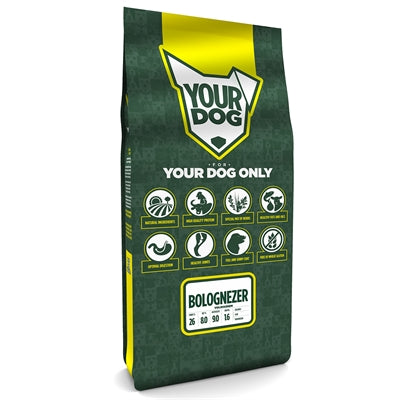 Yourdog Bolognezer Volwassen