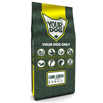 Yourdog Cane Corso Volwassen