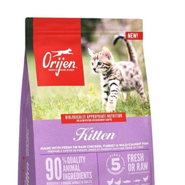 Orijen Kitten