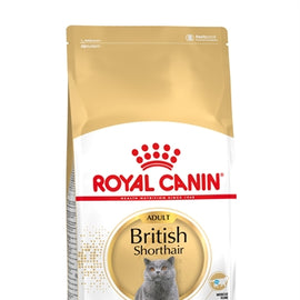 Royal Canin Britisch Kurzhaar